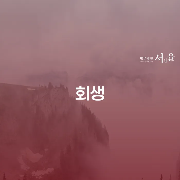 개인회생비용분납 대출 받은 돈채무조정 법무법인추천