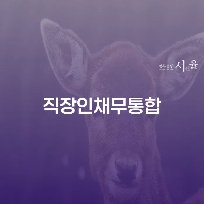 인천광역시 2024년 개인회생 개인회생으로 방법 희망으로
